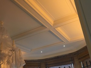 Panel Moulding on ceiling